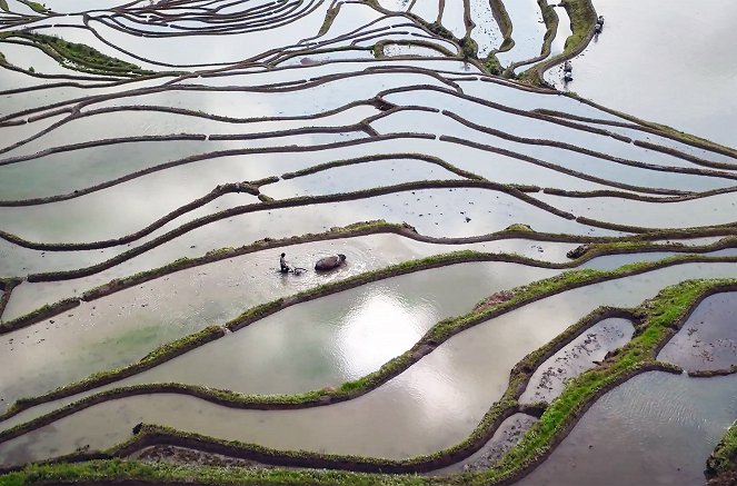 Die Farben Chinas - Grün – Zwischen Reisterrassen und Teebergen - Filmfotos
