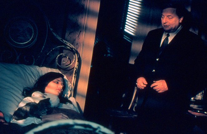 Maigret - Maigret a papuľnatá slúžka - Z filmu