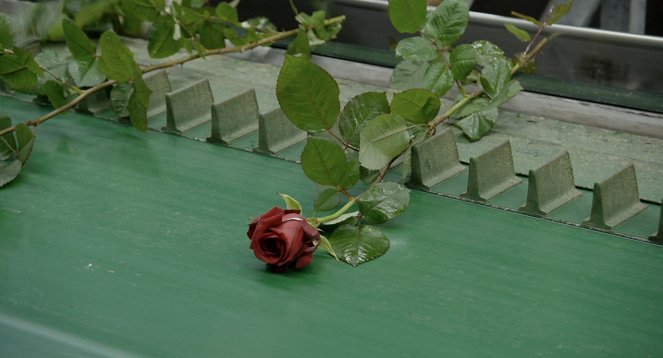 Une fleur à la bouche - Kuvat elokuvasta