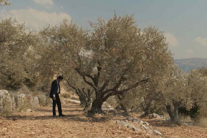 The Trees - De la película