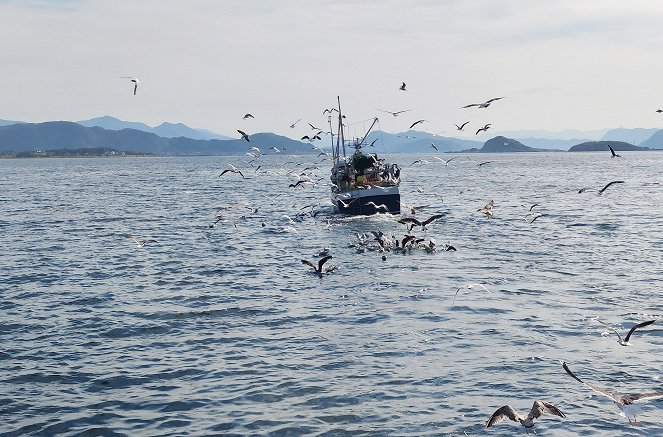 Maritimes Erbe - Norwegens Küste - Filmfotók