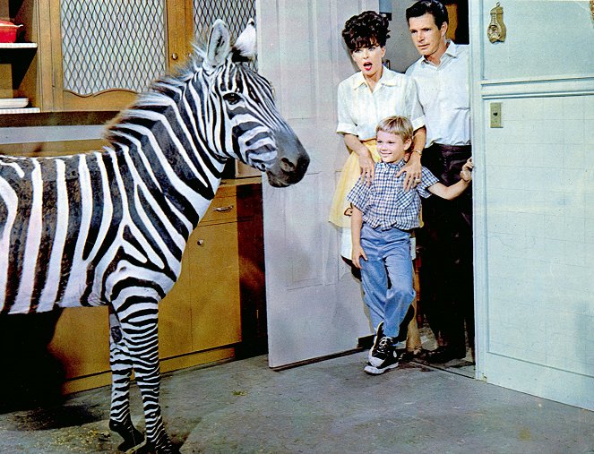 Zebra in the Kitchen - De la película
