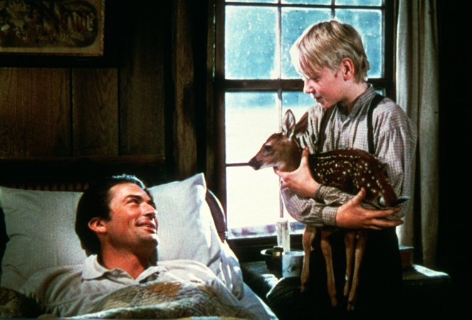 The Yearling - Photos - Gregory Peck, Claude Jarman Jr.
