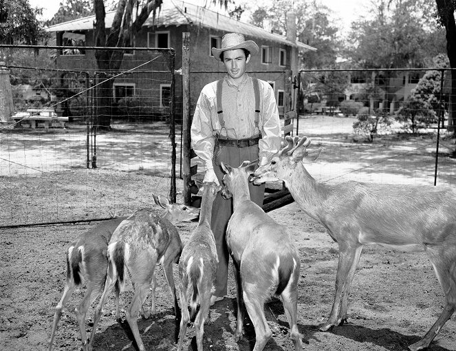 The Yearling - Photos - Gregory Peck