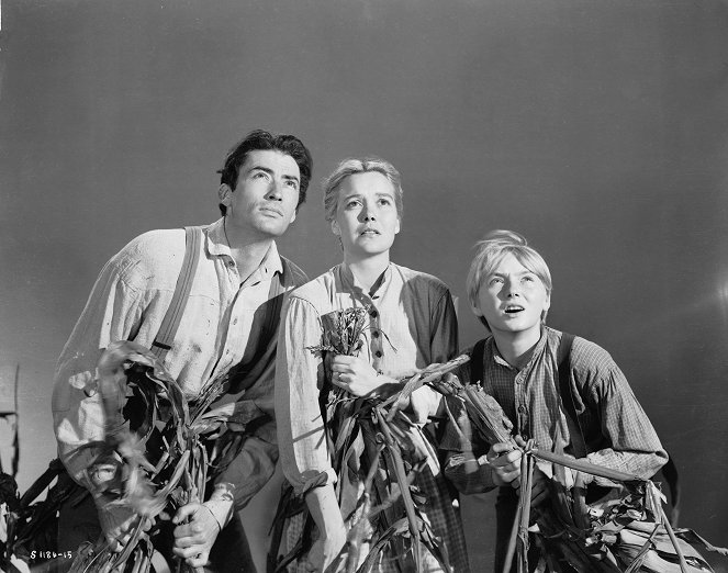 The Yearling - Film - Gregory Peck, Jane Wyman, Claude Jarman Jr.