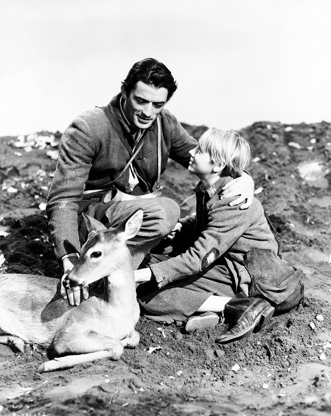The Yearling - Do filme - Gregory Peck, Claude Jarman Jr.