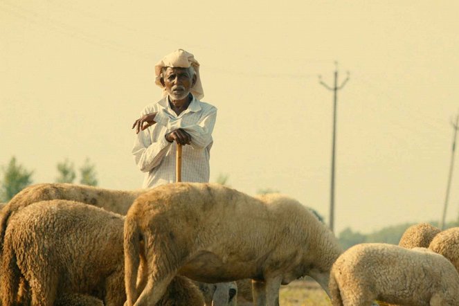 Kukuřičné pole - Z filmu