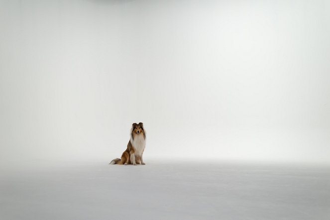Nova: Dog Tales - Filmfotos