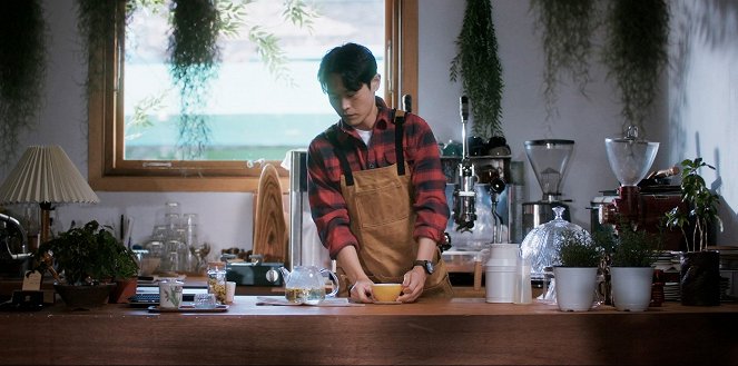 Plant Cafe, Warmth - Film