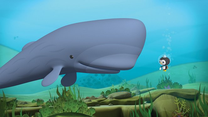 Les Octonauts - The Octonauts and the Scared Sperm Whale - Film