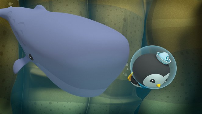 The Octonauts - The Octonauts and the Scared Sperm Whale - Photos