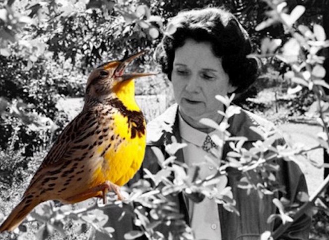 Rachel Carson, un printemps silencieux - Photos