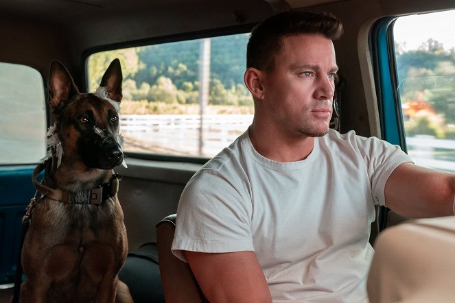Dog – Das Glück hat vier Pfoten - Filmfotos - Channing Tatum