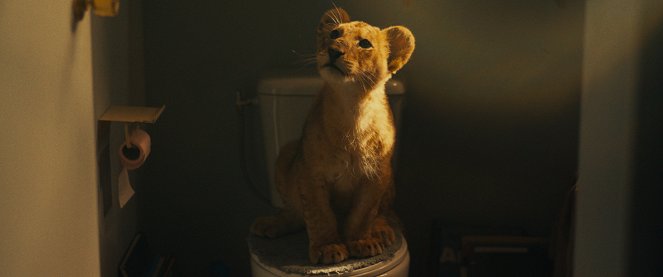 King: Mój przyjaciel lew - Z filmu