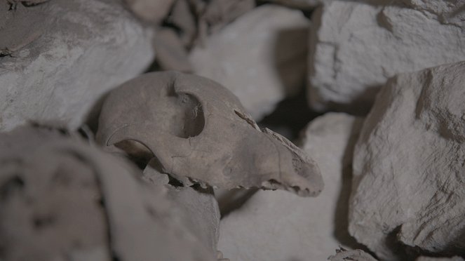 Egyptské hrobky: Nejnovější objevy - Z filmu