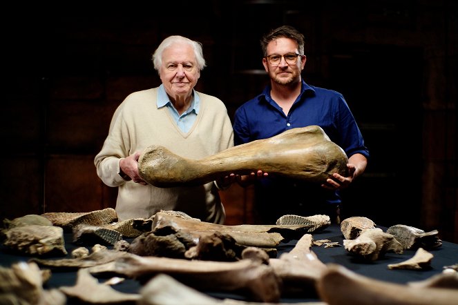 Attenborough and the Mammoth Graveyard - Promo - David Attenborough