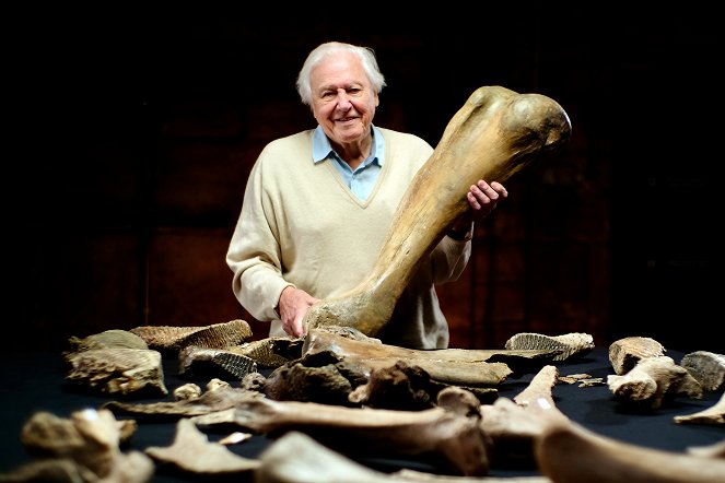 Attenborough a pohřebiště mamutů - Promo - David Attenborough