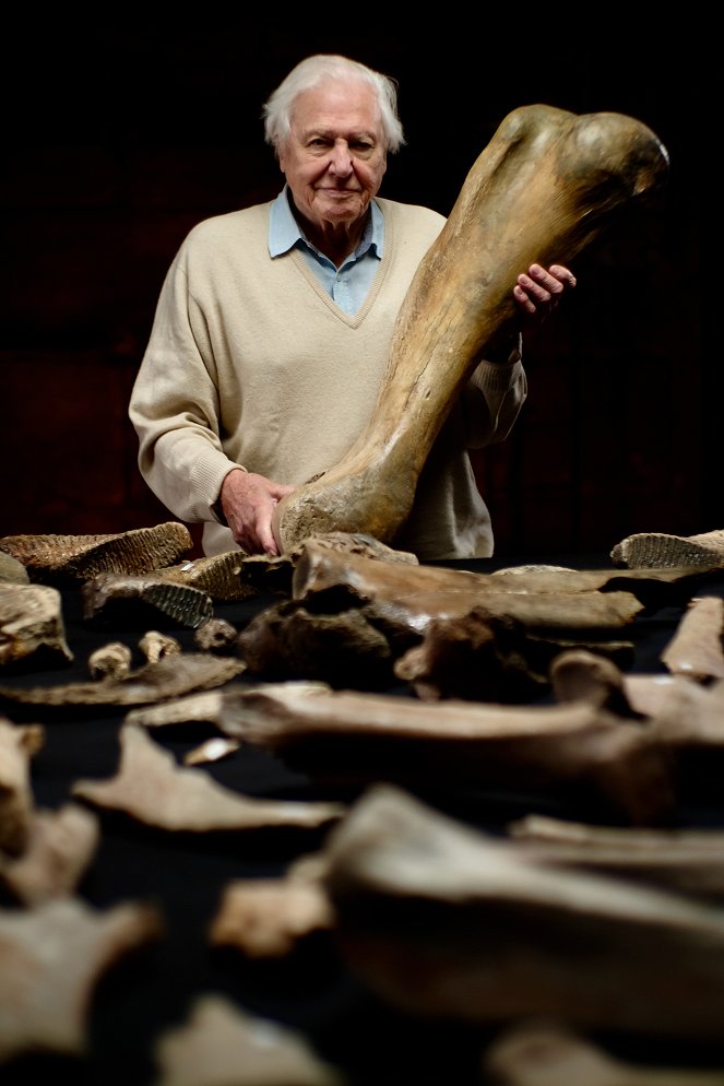 Attenborough and the Mammoth Graveyard - Promo - David Attenborough