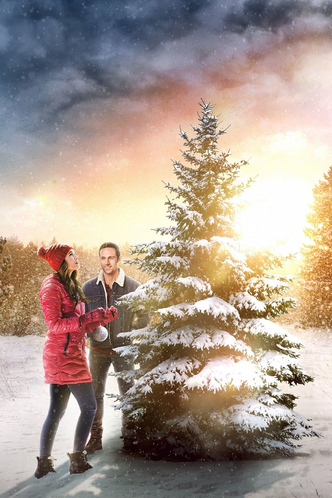 The Christmas Promise - Werbefoto - Torrey DeVitto, Dylan Bruce