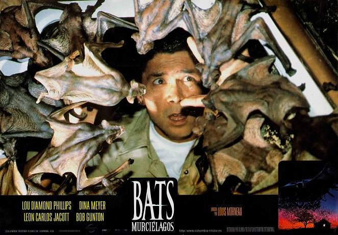 Bats - Lobbykaarten