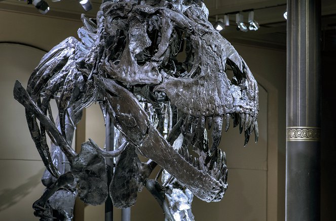 Dino-Jäger - Auf der Spur der Urzeit-Giganten - Photos