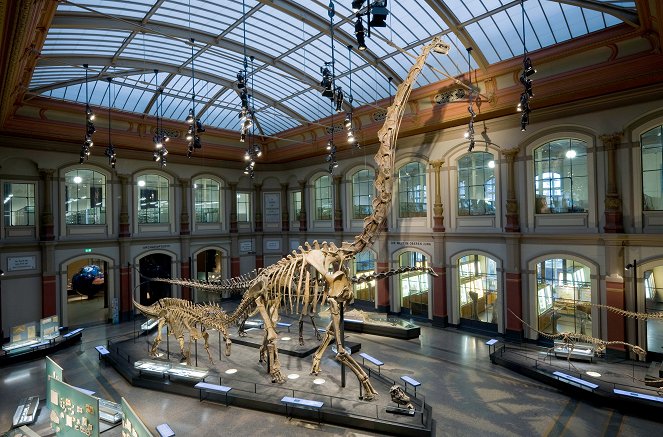Dino-Jäger - Auf der Spur der Urzeit-Giganten - Filmfotók