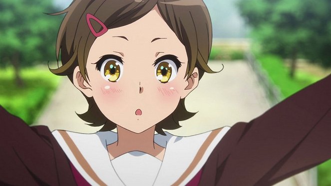 Hibike! Euphonium - Tadaima festival - De filmes