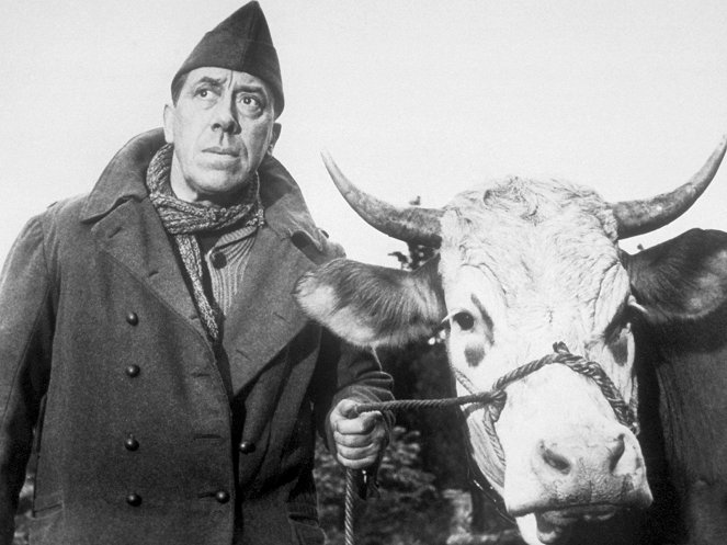 La Vache et le prisonnier - Film - Fernandel
