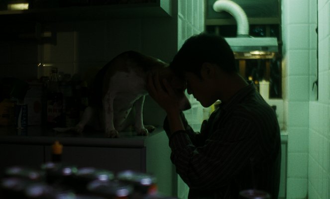 Chongqing senlin - Filmfotos