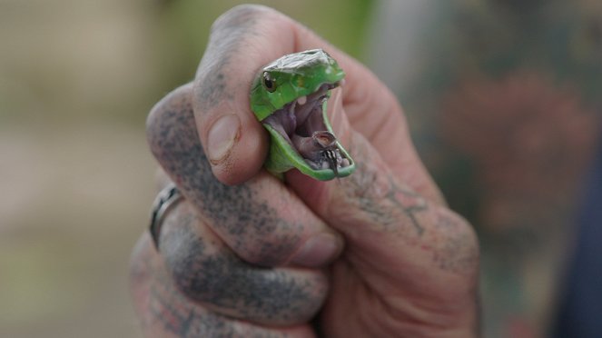 Jagdtaktiken der Schlangen - Filmfotos