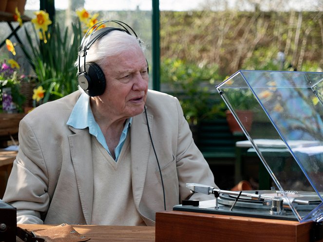Universum: Musik liegt in der Luft - Attenboroughs lautstarke Tiere - Dreharbeiten - David Attenborough