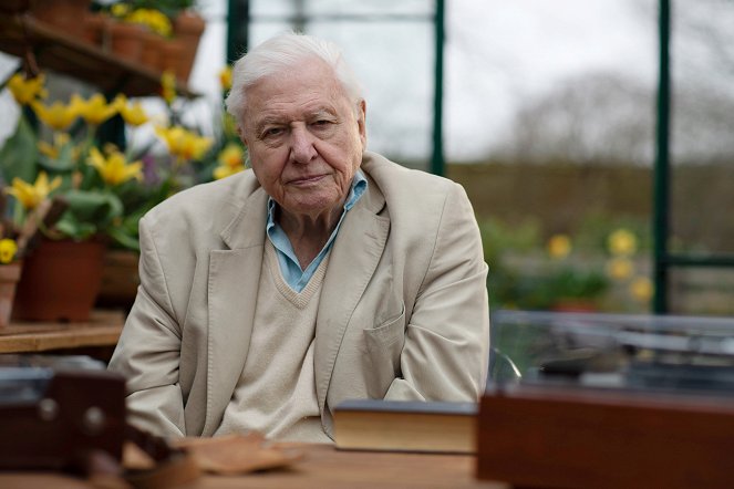 Attenborough's Wonder of Song - Promoción - David Attenborough