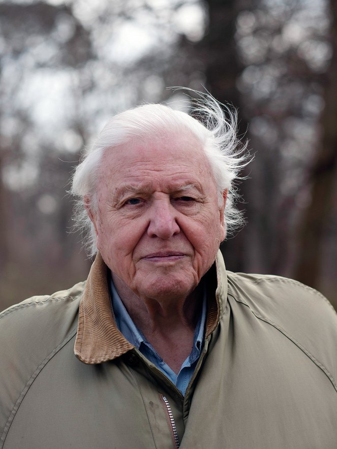 Attenborough's Wonder of Song - Promokuvat - David Attenborough