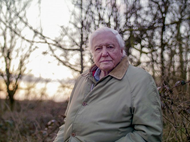 Attenborough's Wonder of Song - Promoción - David Attenborough