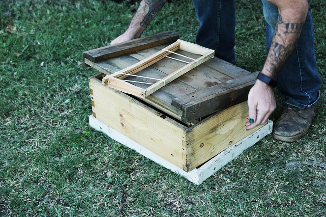 Der Herr der Bienen - Filmfotos