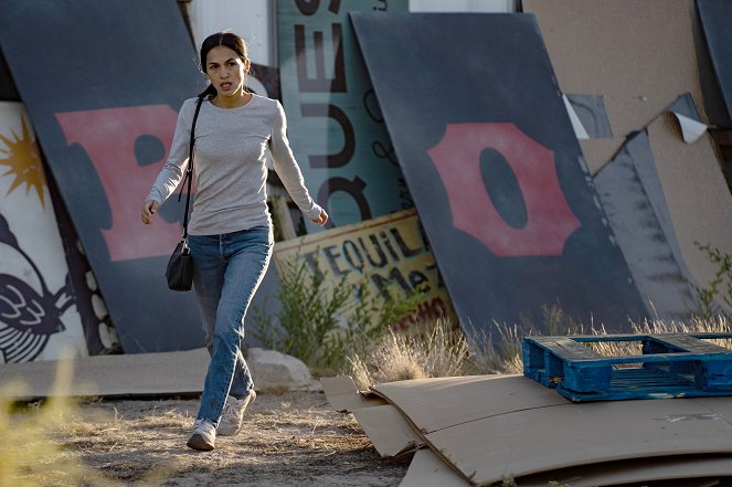 The Cleaning Lady - The Icebox - Film - Elodie Yung