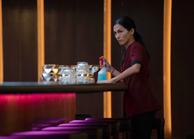 The Cleaning Lady - The Icebox - Film - Elodie Yung