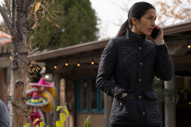 The Cleaning Lady - Coming Home Again - Film - Elodie Yung