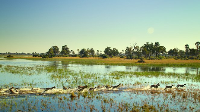 Élet az Okavango-delta környékén - Filmfotók