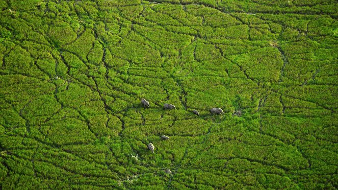 Delta Okavanga: Kousek ráje - Z filmu