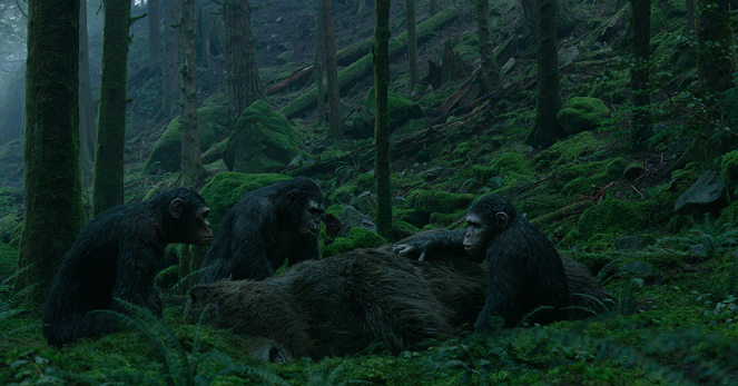 El amanecer del planeta de los simios - De la película