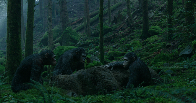 L'Aube de la planète des singes - Photos