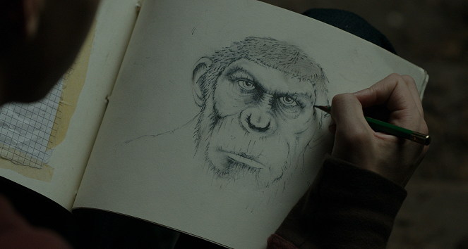 Dawn of the Planet of the Apes - Photos