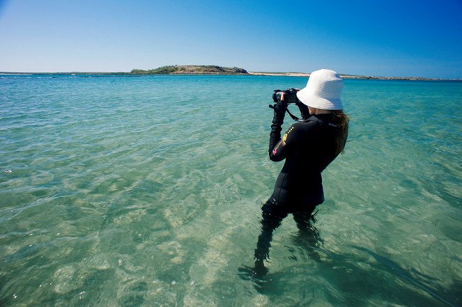 Nők az óceánok védelmében - Nan Hauser - Wege der Wale - Filmfotók