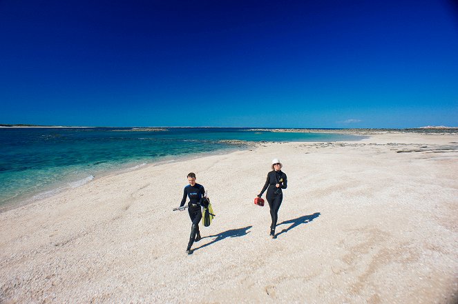 Ocean Heroines - Nan Hauser - Wege der Wale - Photos