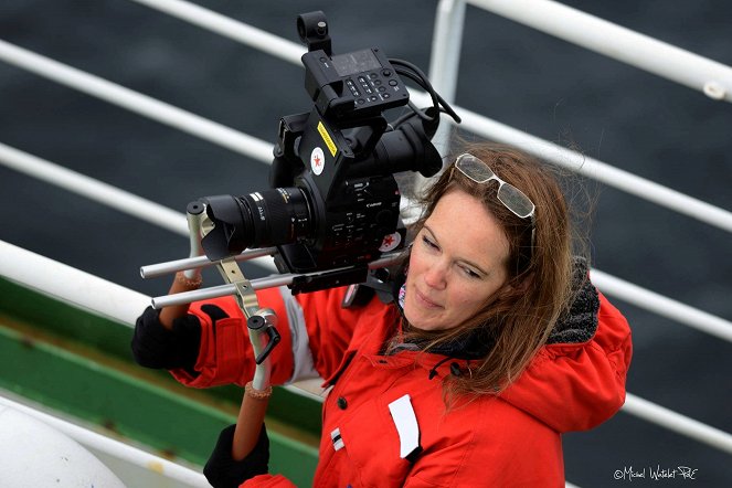 Mujeres que salvan océanos - Alison Kock - Der weiße Hai - De la película