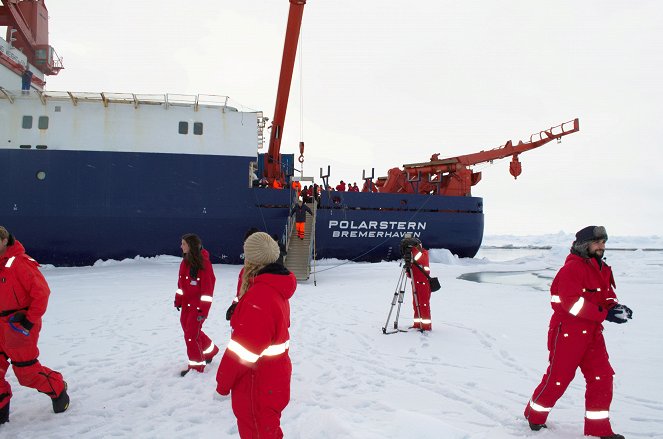 Ocean Heroines - Alison Kock - Der weiße Hai - Photos