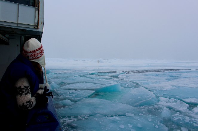 Ocean Heroines - Alison Kock - Der weiße Hai - Photos