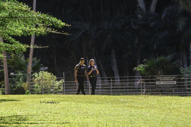 NCIS: Hawai'i - T'N'T - Van film