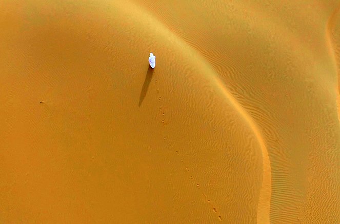 Oases: Sentinels of the Desert - Photos